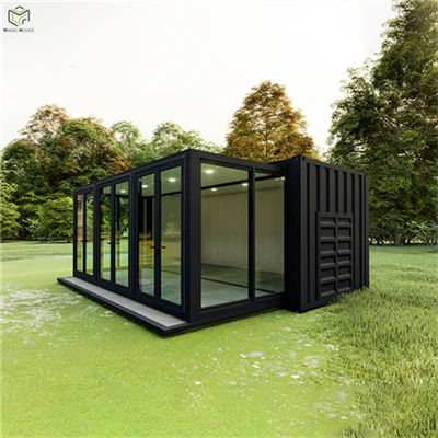 20ft mini version nthuav dav thawv tsev tsim